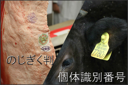 Information on Each Individual Animal Is Also Made Public!