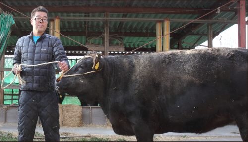 チャンピオン神戸牛生産者：中西　仁さん